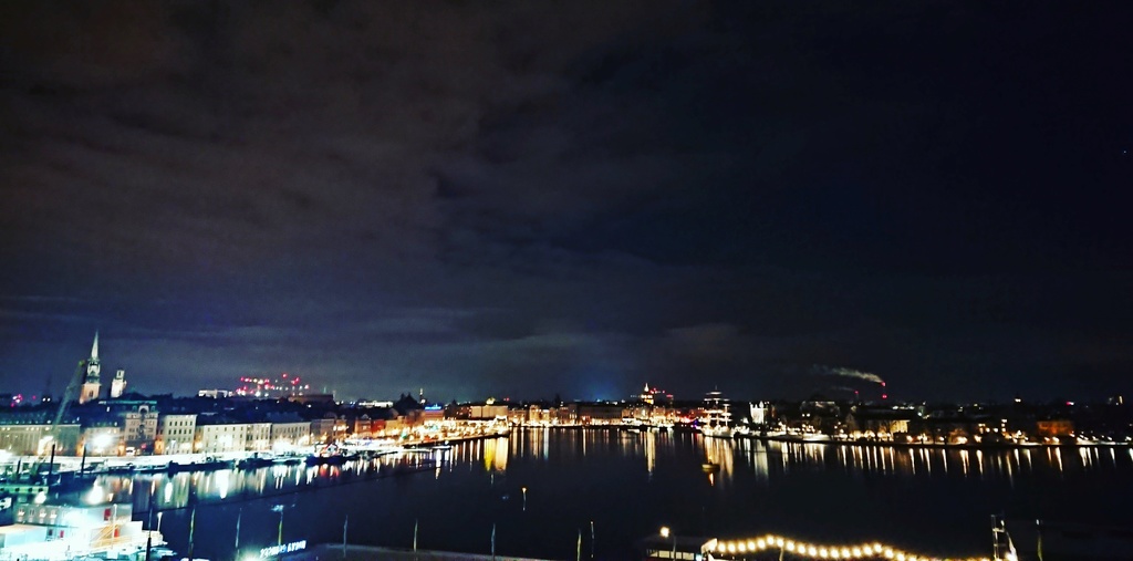 Säljarens bild; Stockholm i nattskrud från takterrassen i porten