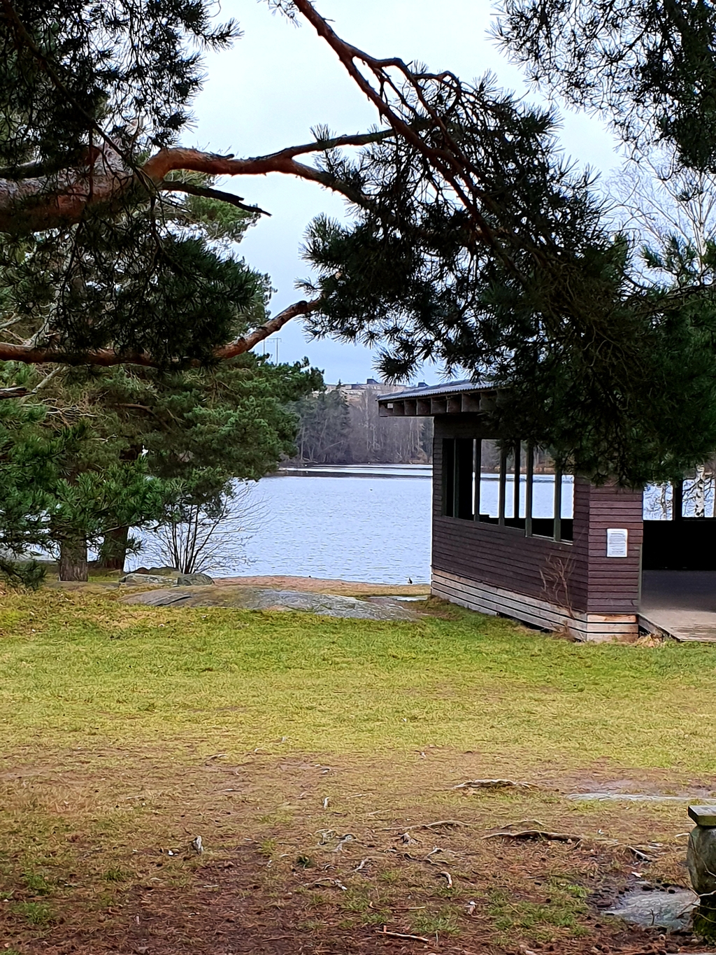 Scen och badplats vid Myrsjön