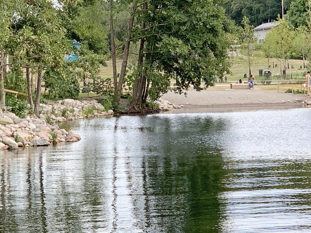 Vintervikens sandstrand i kvällsljus