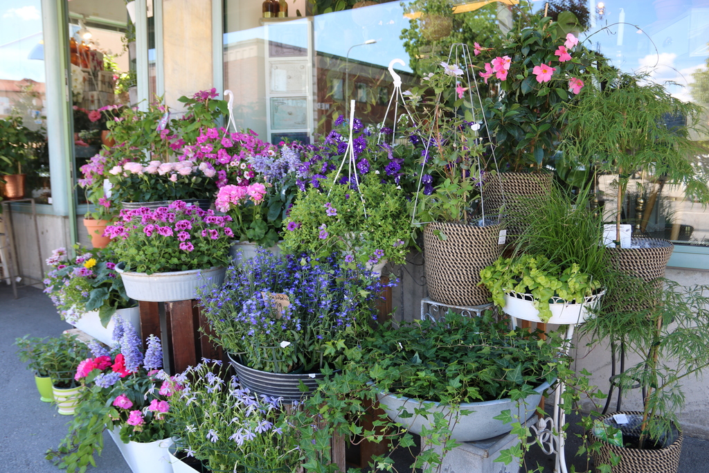 Blomsterbutik på Åsen