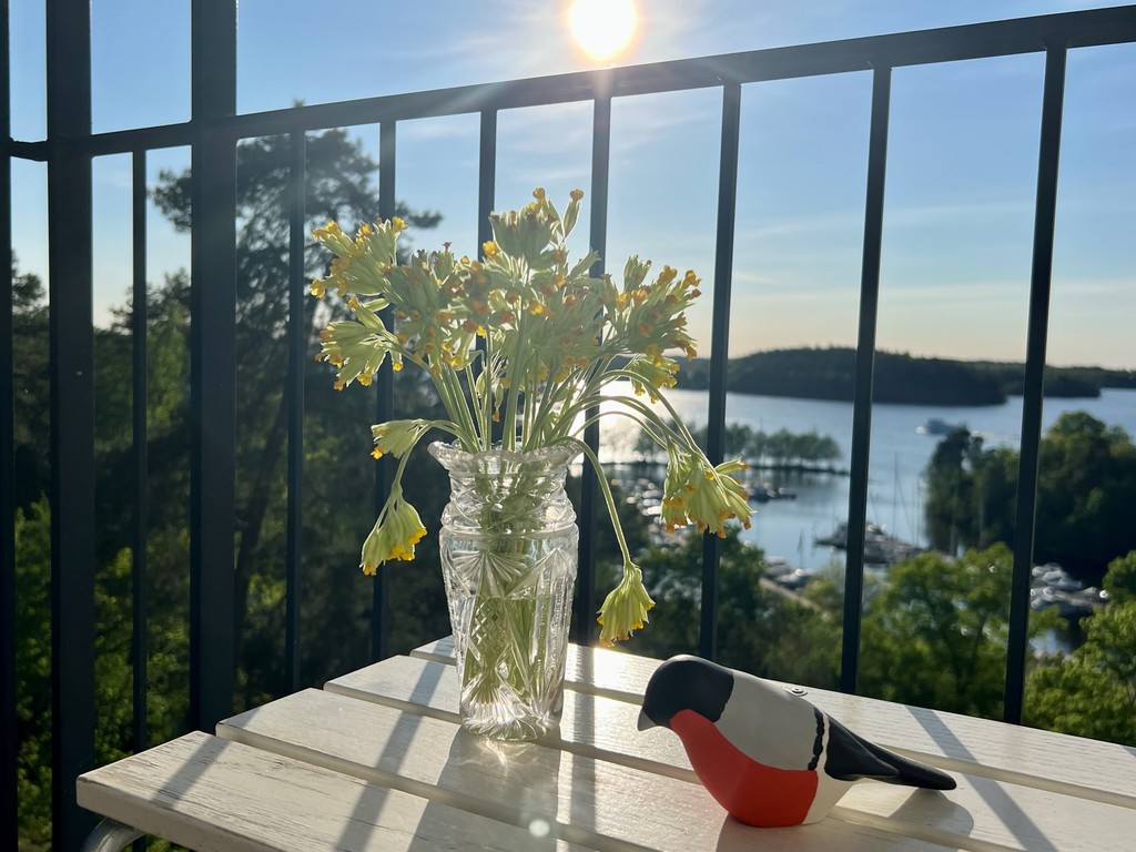 Glimt mot Mälarhöjdens båtklubb