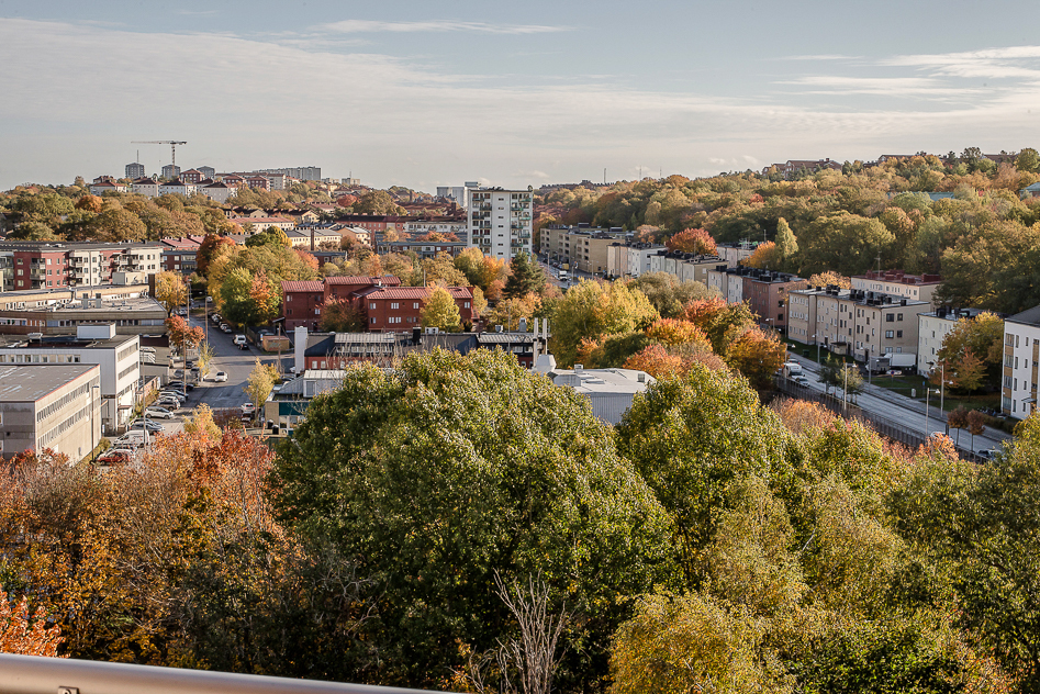 Högt över trädtopparna