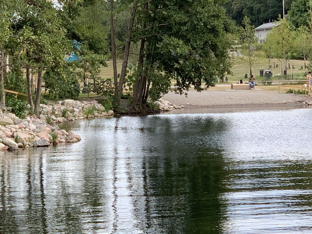 Vintervikens sandstrand i kvällsljus