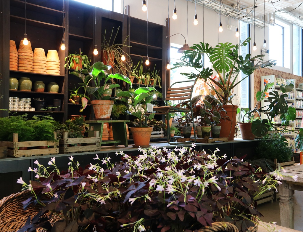 Interiör på Zetas trädgård.JPG