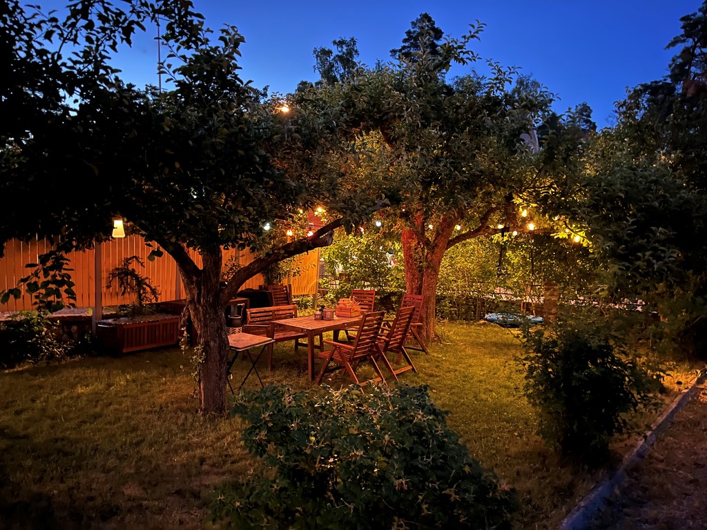 sommarkväll i trädgården